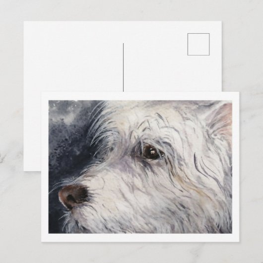 ラッキー ポストカード (正面/裏面)