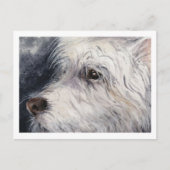 ラッキー ポストカード (正面)