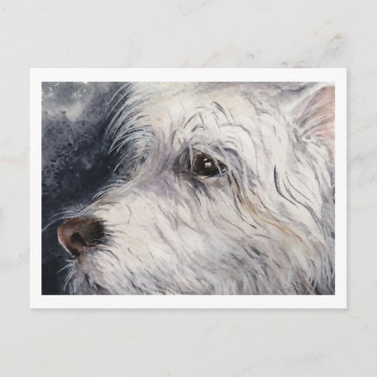 ラッキー ポストカード (正面)