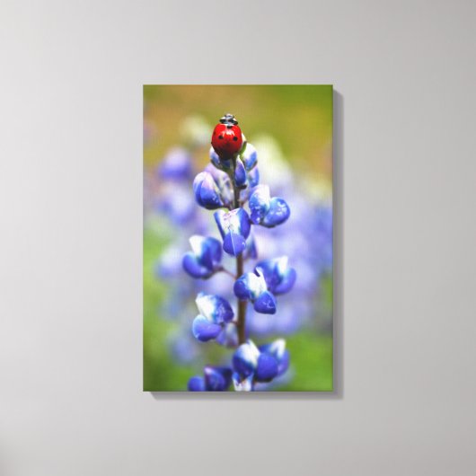 ラッキー・レディ キャンバスプリント (正面)