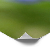 ラッキー・レディ・バグ ポスター (角)