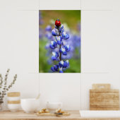 ラッキー・レディ・バグ ポスター (キッチン)