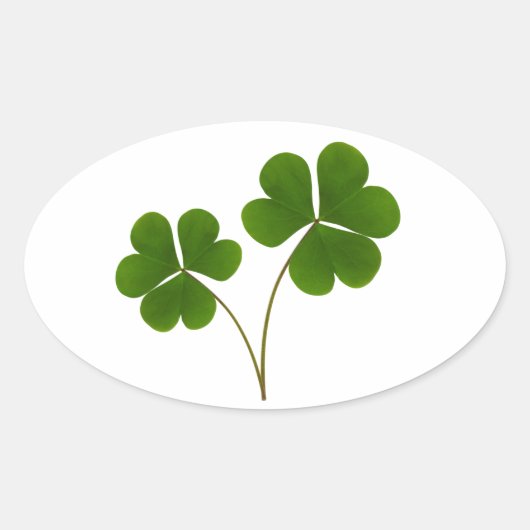 ラッキー 楕円形シール (正面)