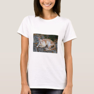 ラッキー Tシャツ