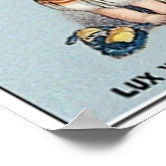 ラックスソープ ポスター (角)