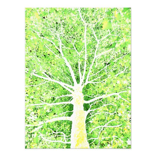 ラックスヴィリディスフラバン8 フォトプリント            (正面)