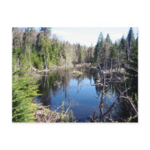 ラック・ボワイヤー