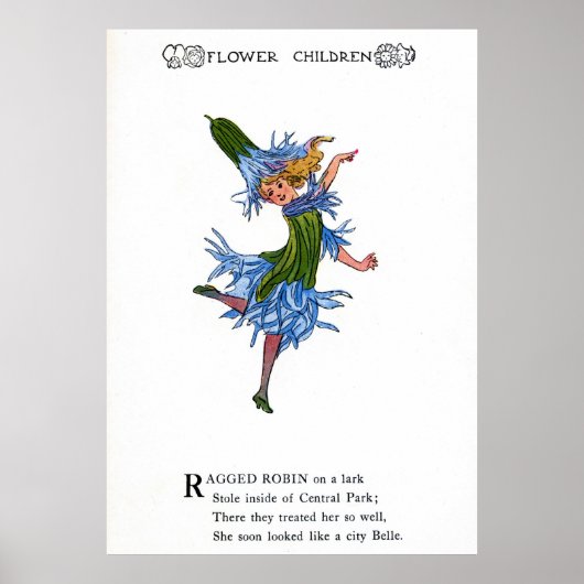 ラッグロビン ポスター (正面)