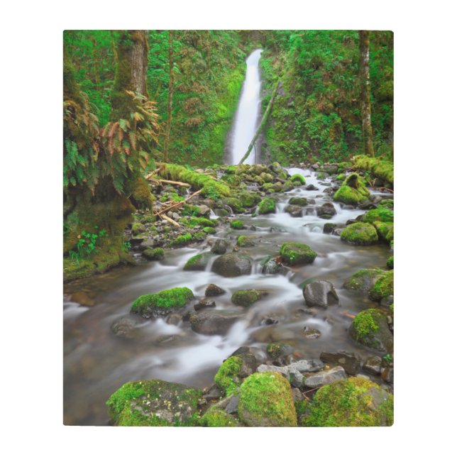 ラッケルクリーク秋ズコロンビアリバーゴージェオレゴン メタルプリント (正面)