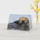 ラッコカードをかいま見ること カード (黄色い花)