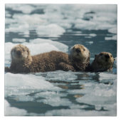 ラッコ家族 タイル (正面)