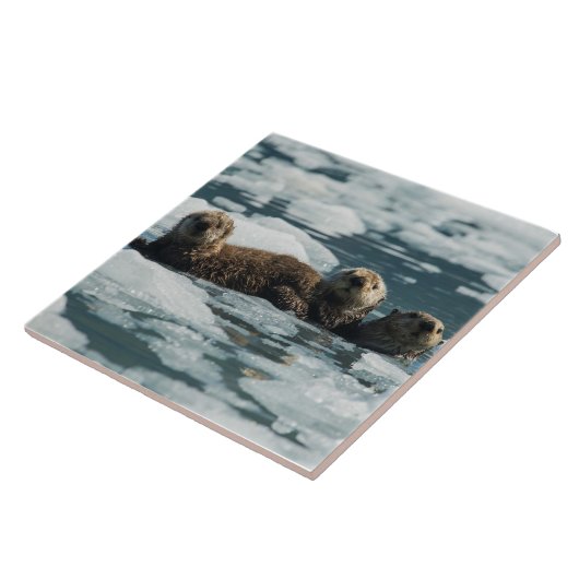 ラッコ家族 タイル (側面)