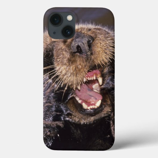 ラッコ、Enhydraのlutris 6 Case-Mate iPhoneケース (裏面)