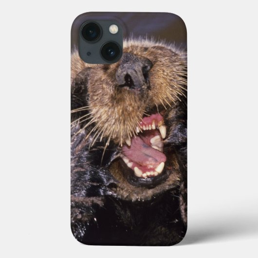 ラッコ Enhydra lutris 6 Case-Mate iPhoneケース (裏面)