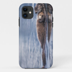 ラッコ, Enhydra lutris lutris iPhone 11 ケース