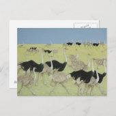 ラッシュアワー2 ポストカード (正面/裏面)