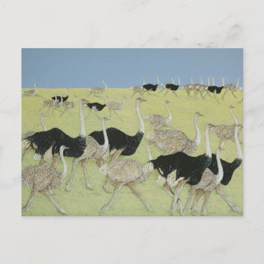 ラッシュアワー2 ポストカード (正面)