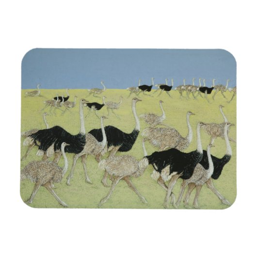 ラッシュアワー2 マグネット (横)