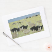 ラッシュアワー 長方形シール (封筒)