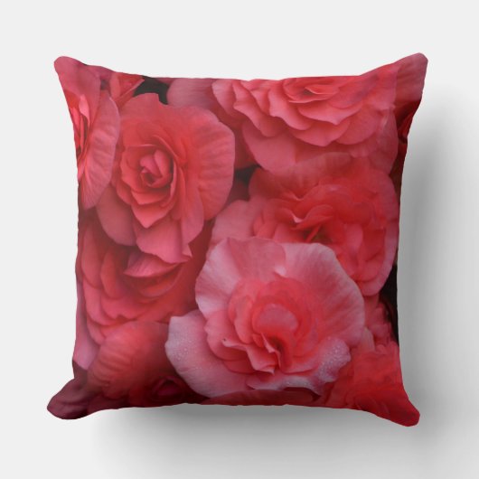 ラッシュダブルピンクベゴニア クッション (正面)