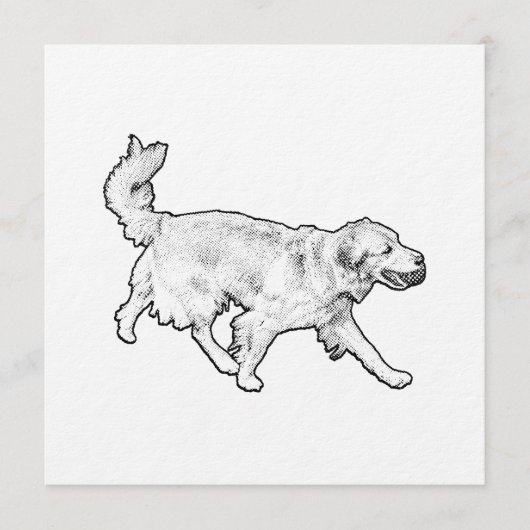 ラッシュトレイルウェルカム 招待状 (正面)