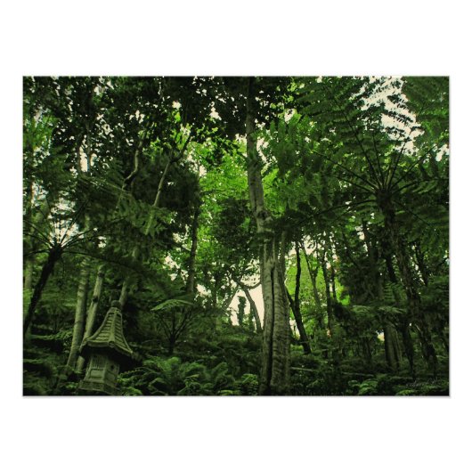 ラッシュネスのキャノピー@ Madeira Portugal Photo フォトプリント (正面)