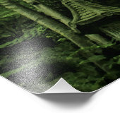 ラッシュネスのキャノピー@ Madeira Portugal Photo フォトプリント (角)