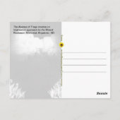 ラッシュモア記念碑 - 夕方の照明 -  ポストカード (裏面)