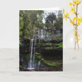 ラッセル滝 カード (黄色い花)