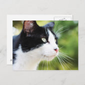 ラッセル1 ポストカード (正面/裏面)