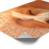 ラッツィキズィ ポスター (角)