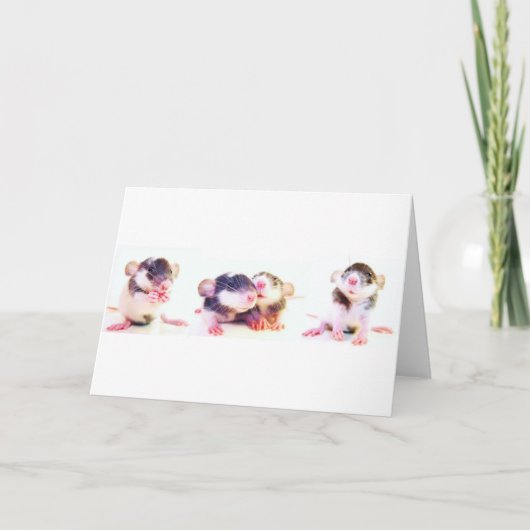 ラットによって得意気に所有されて! カード (正面)