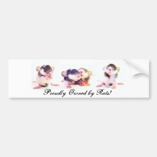 ラットによって得意気に所有されて! バンパーステッカー