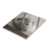 ラットのタイル タイル (側面)