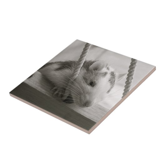 ラットのタイル タイル (側面)