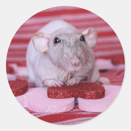 ラットのバレンタインのステッカー ラウンドシール (正面)