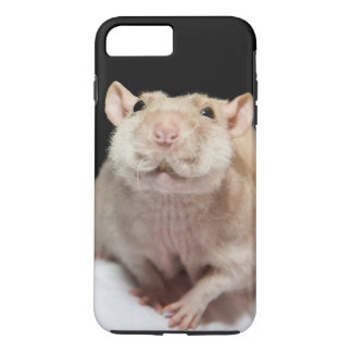 ラットの携帯ケース iPhone 8 PLUS/7 PLUSケース
