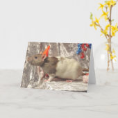 ラットのB日カード カード (黄色い花)