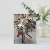 ラットアートバイクポストカード ポストカード (スタンド正面)