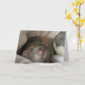 ラットカ空白のード カード (黄色い花)