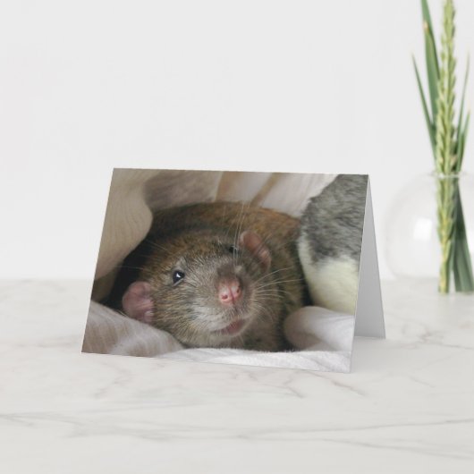 ラットカ空白のード カード (正面)