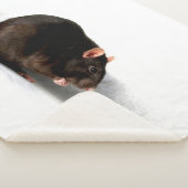 ラットスバークナ シェルパブランケット (3/4)