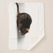 ラットスバークモン シェルパブランケット (正面)