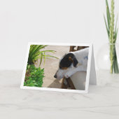 ラットテリアースリープポートレート カード (正面)