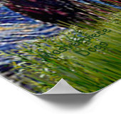 ラットテリアー – スターリーナイト ポスター (角)