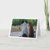 ラットテリア及びミニチュアピンシャー カード (正面)