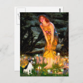 ラットテリア – MidEve ポストカード (正面/裏面)