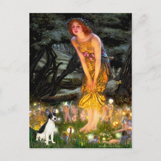 ラットテリア – MidEve ポストカード (正面)