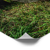 ラットトラック ポスター (角)