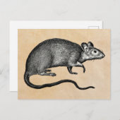 ラットハロウィーンヴィンテージ ポストカード (正面/裏面)